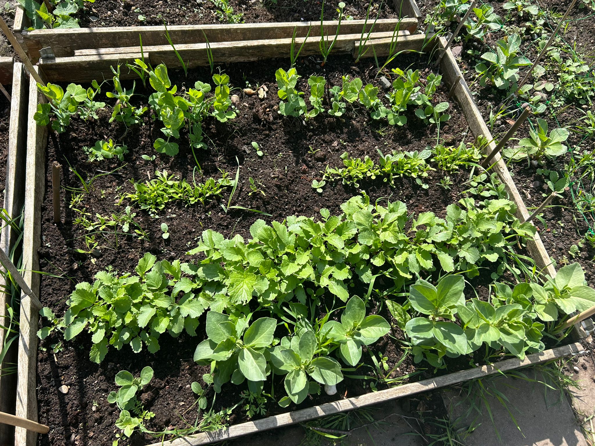 TerraPro International CIC - Urban Agriculture Training